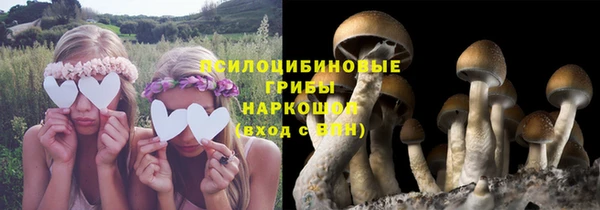 стаф Лабытнанги