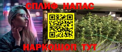 ECSTASY Гатчина