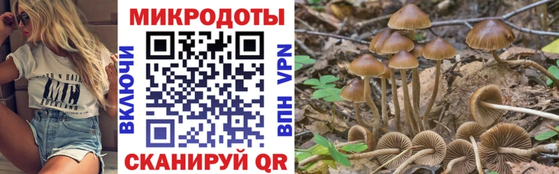 закладки  omg маркетплейс  Псилоцибиновые грибы Magic Shrooms  Елец 