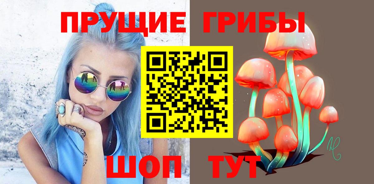 Псилоцибиновые грибы GOLDEN TEACHER Елец